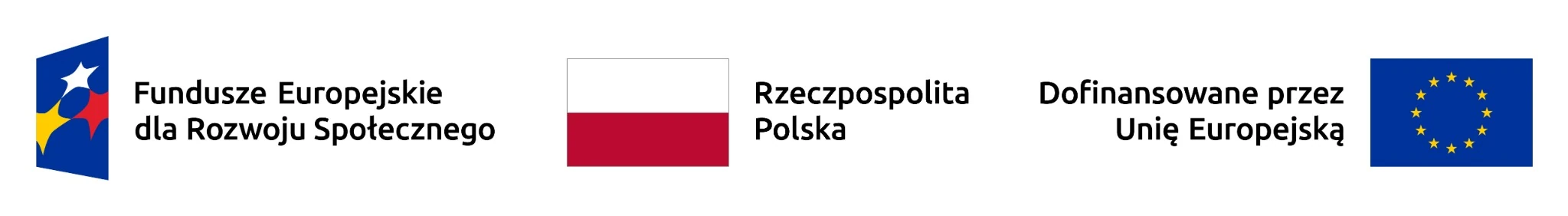Fundusze Europejskie dla Rozwoju Społecznego Rzeczpospolita Polska Unia Europejska